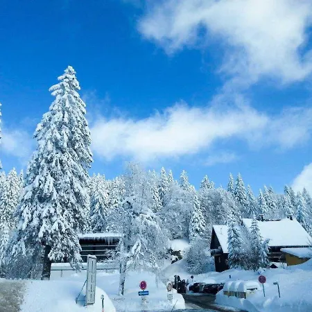 Apartment Residenz Grafenmatt Im Schwarzwald Feldberg (Baden-Wurttemberg)